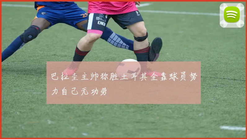 巴拉圭主帅称胜土耳其全靠球员努力自己无功劳
