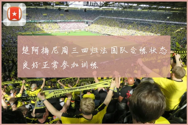 楚阿梅尼周三回归法国队合练状态良好正常参加训练